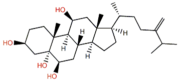 Menellsteroid G